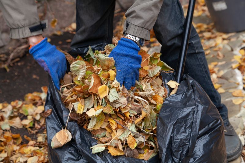 Leaf Clearing Services