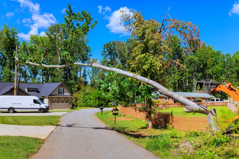 Cost of Fallen Tree Removal in Santa Rosa Beach, FL
