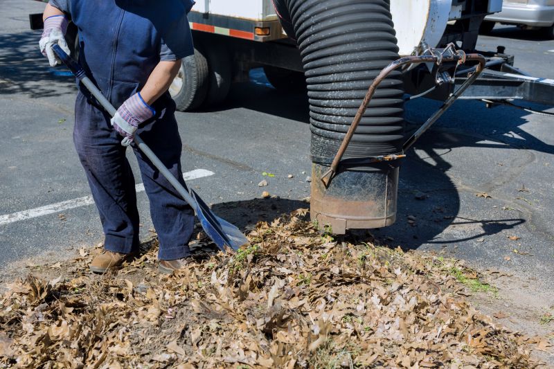 Efficient Leaf Clearing