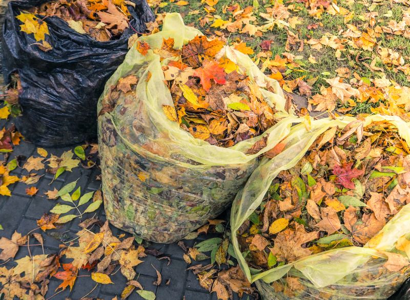 Final Fall Cleanup