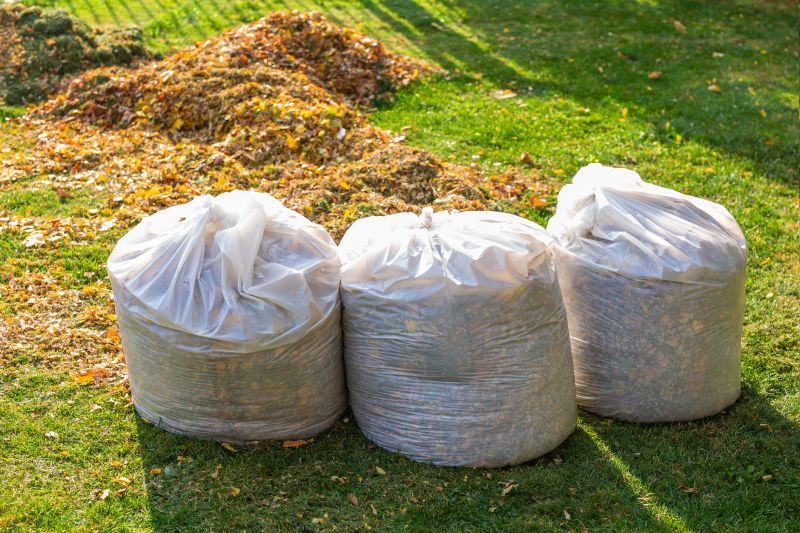 Leaf Disposal Process