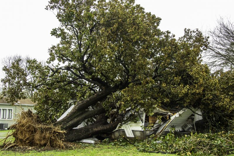 Storm Damage Cleanup