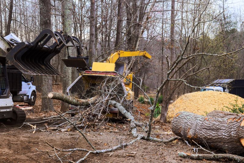 Heavy Machinery in Action