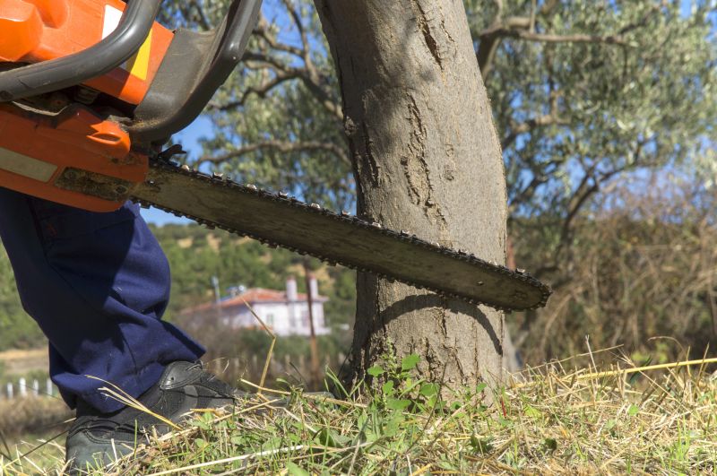 Equipment Used for Tree Removal