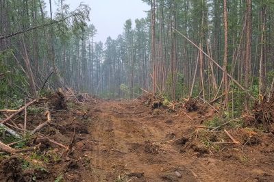 Land Clearing Operations