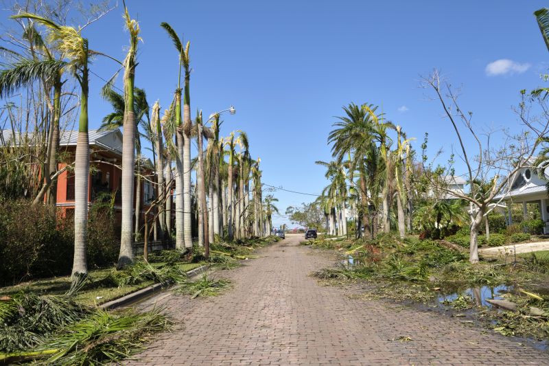 Storm Damage Tree Removal