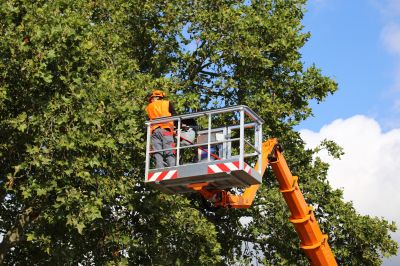 Preventative Maintenance