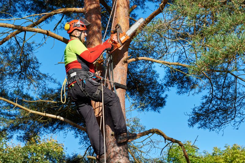 Equipment and Safety Measures