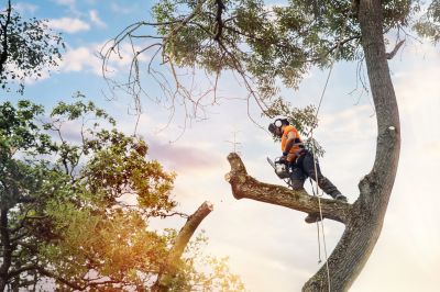Permits and Regulations